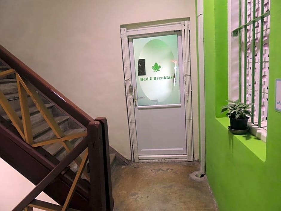 Lotus Bed And Breakfast