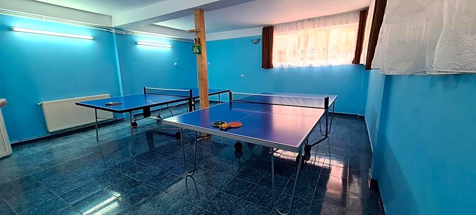 Pensiunea Aurora - Great hostel Voineasa