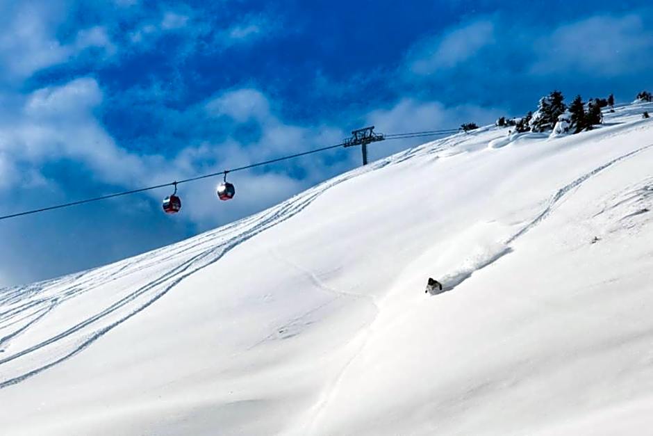 Sonnblick Apartments und Zimmer - Nationalpark Sommercard inklusive