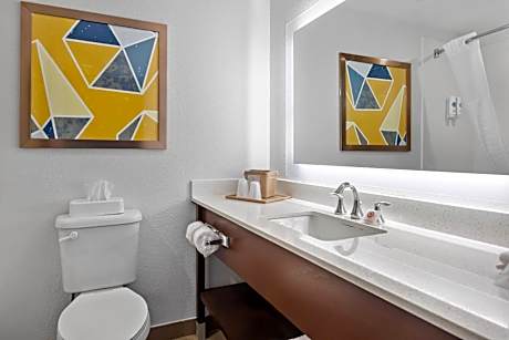 King Room - Non-Smoking/Pet-Friendly