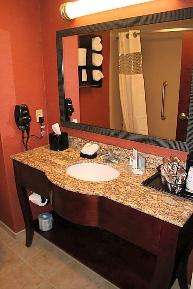 Hampton Inn By Hilton And Suites Morgan City