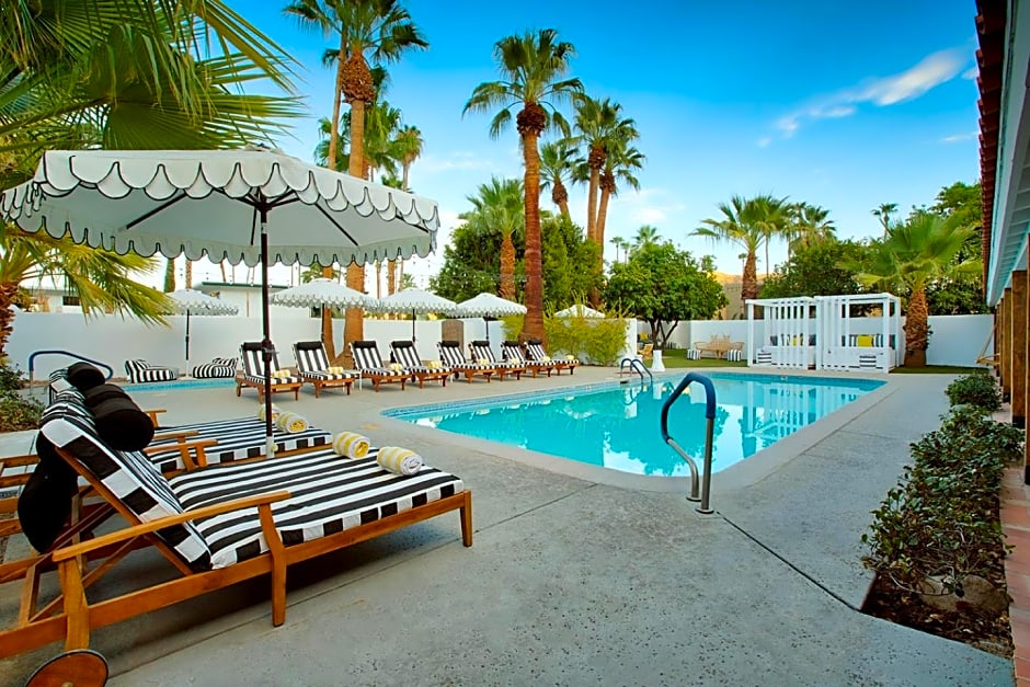 Dive Palm Springs