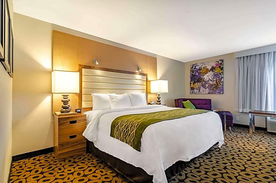 Comfort Inn Raleigh Midtown