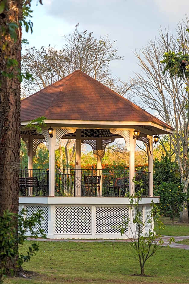 Hotel Bougainvillea San Jose