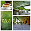 Poggio Radicati Hotel De Charme