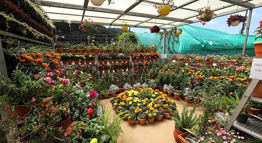 Delightz Inn Resorts