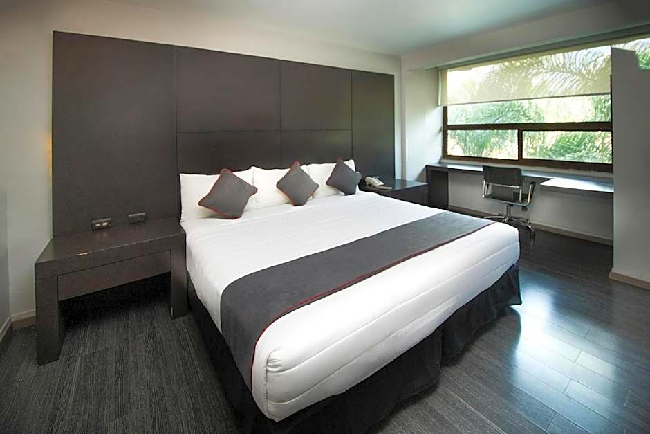 Collection O Las Iglesias