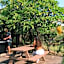 Plantation Hale Suites