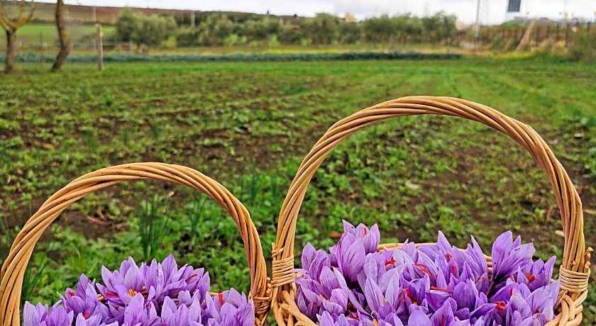 Bed And Breakfast "ANNA"