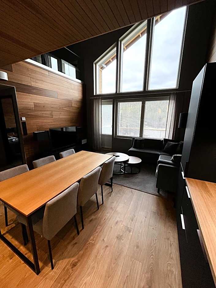 Levin Kunkku B penthouse