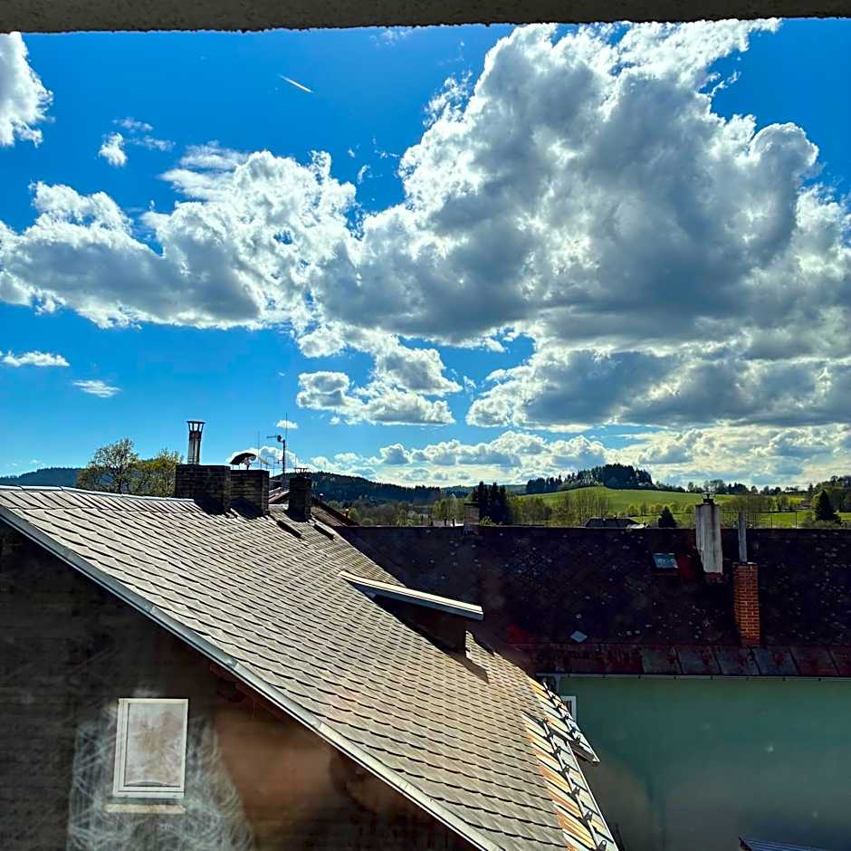 Hotel Chata ve Volarech Šumava