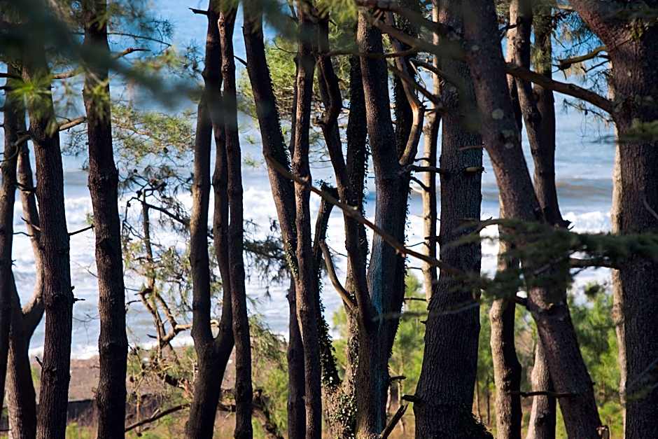 Simple Pleasures Shekvetili Hotel