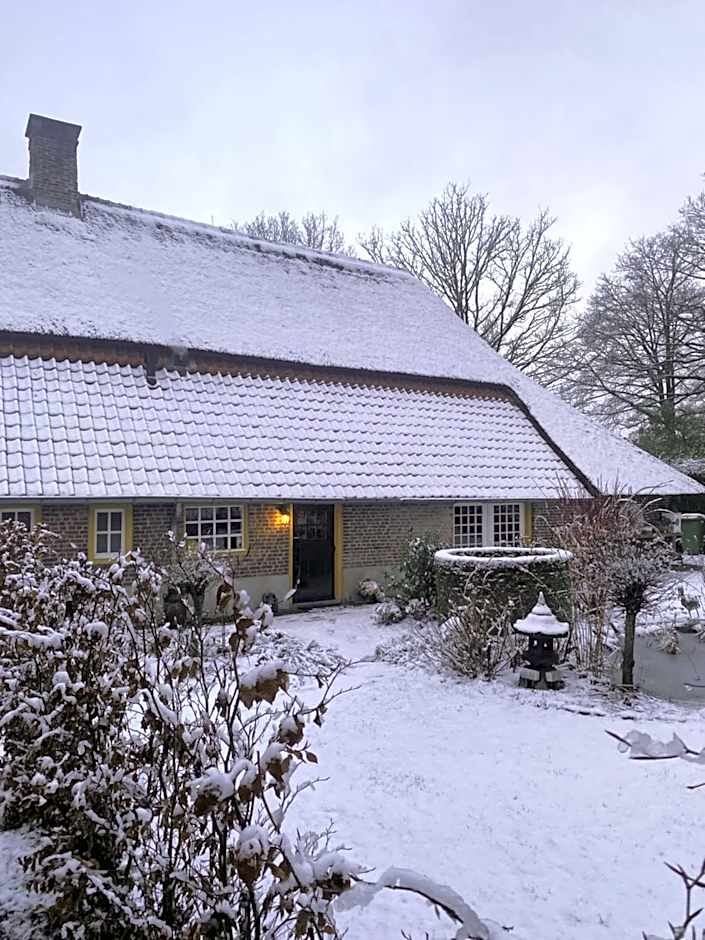 Domestico Bed & Breakfast