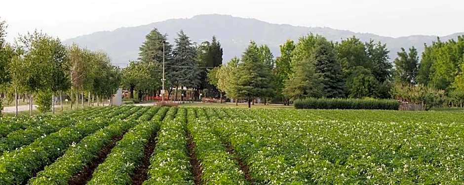 Agriturismo La Borina
