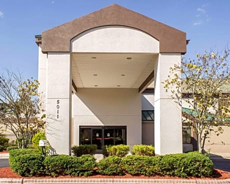 King Room - Pet Friendly/Non-Smoking