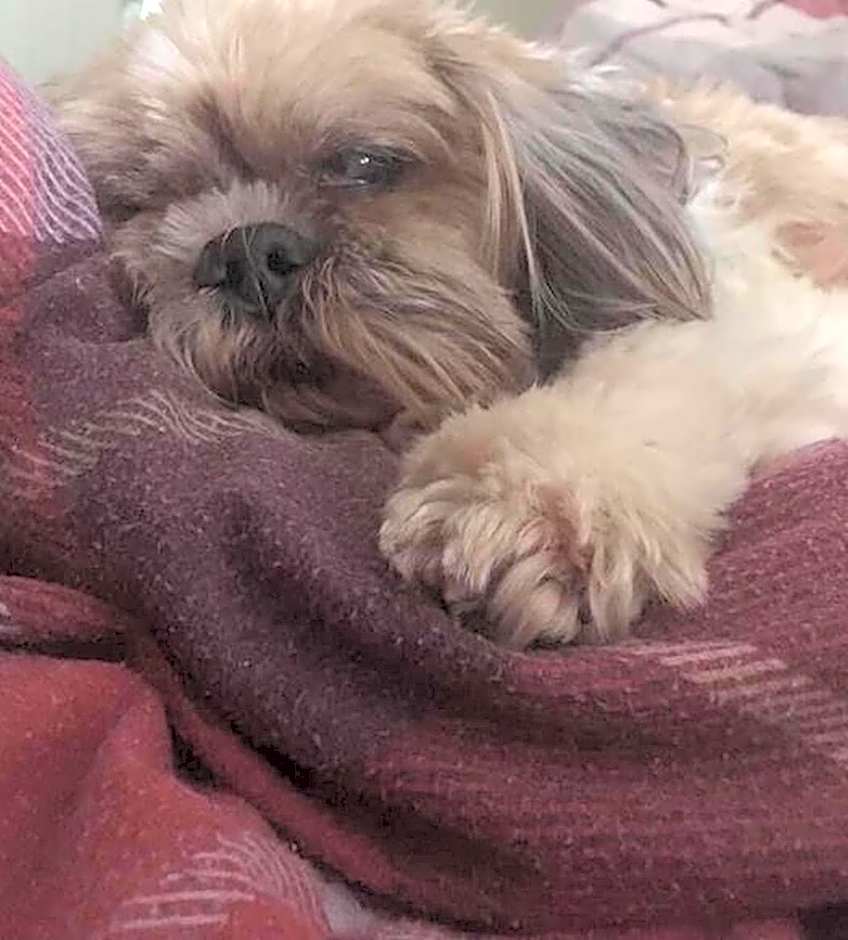 Kestor Inn, Manaton, Dartmoor National Park, Newton Abbot, Devon