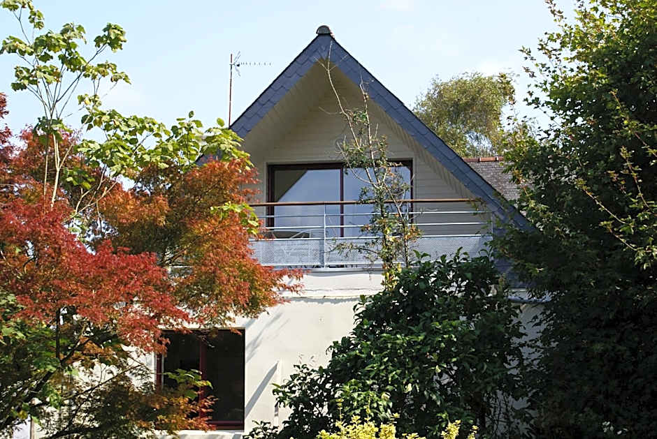 La Canopée des Pins