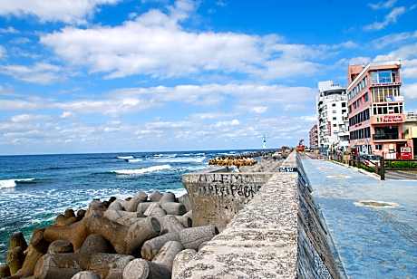 Mr.KINJO GRAND BLUE CHATAN