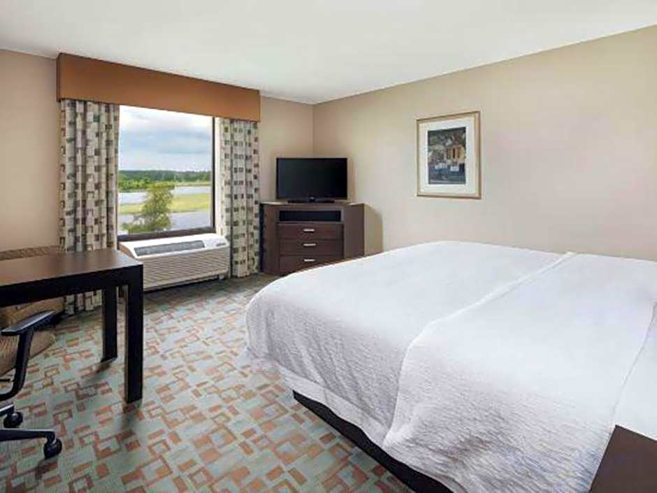 Hampton Inn By Hilton And Suites Savannah-Airport