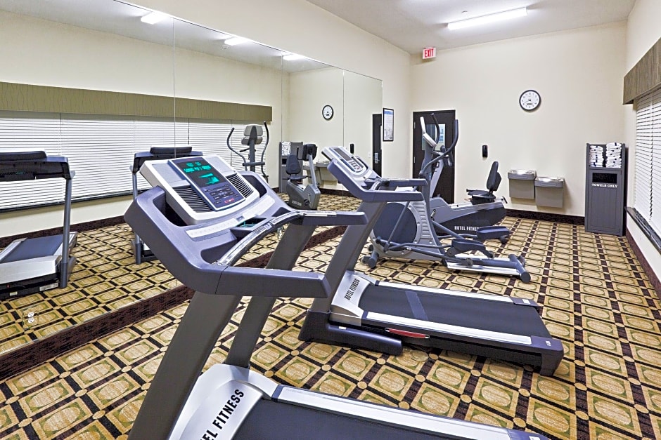 Holiday Inn Express Hotel & Suites Brownfield By IHG