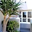 Conifer Beach House