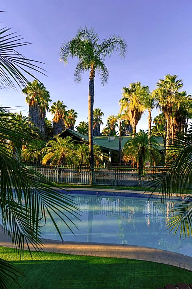 Desert Palms Alice Springs