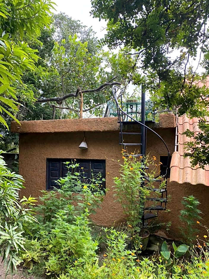 Chalé Céu estrelado