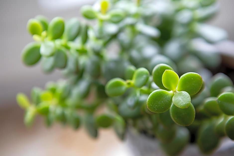 Hotel am Ludwigskanal