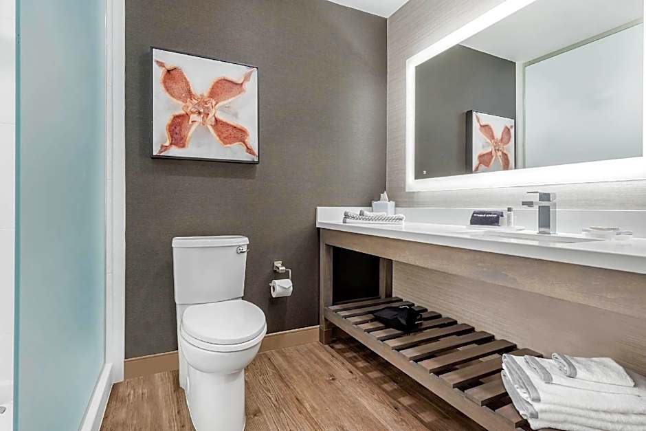 Photo 1 of 15 of Efficiency 1 King Bed Suite