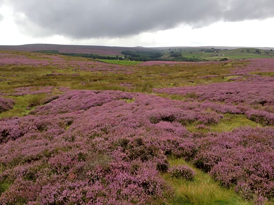 Mickley Bed and Breakfast