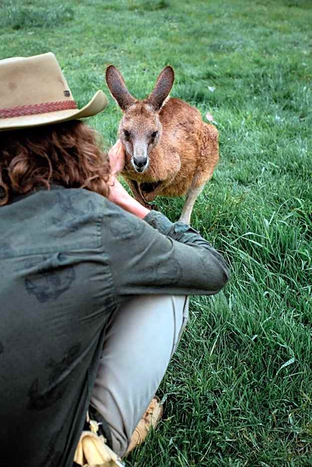 BIG4 Iluka on Freycinet