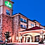 La Quinta Inn & Suites by Wyndham Mckinney