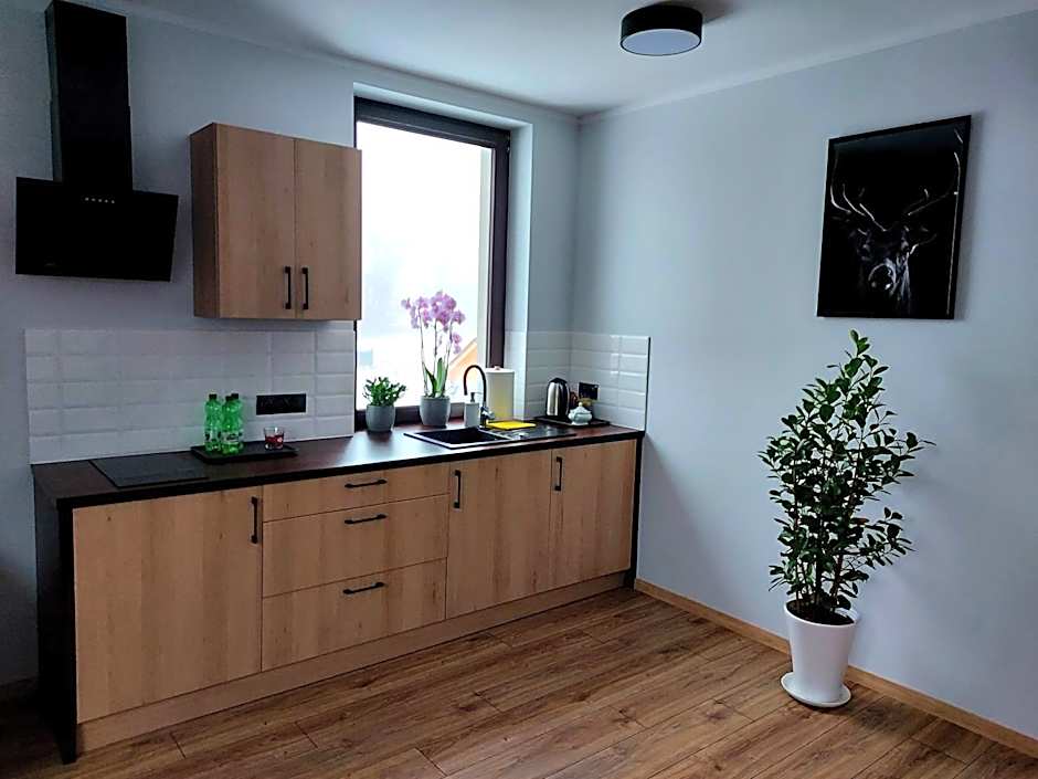 Pensjonat i Restauracja Hubertówka