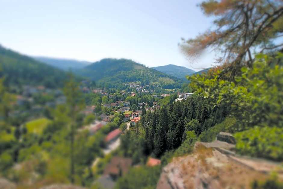 Schwarzwald Panorama