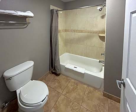 Standard Suite - Non-Smoking