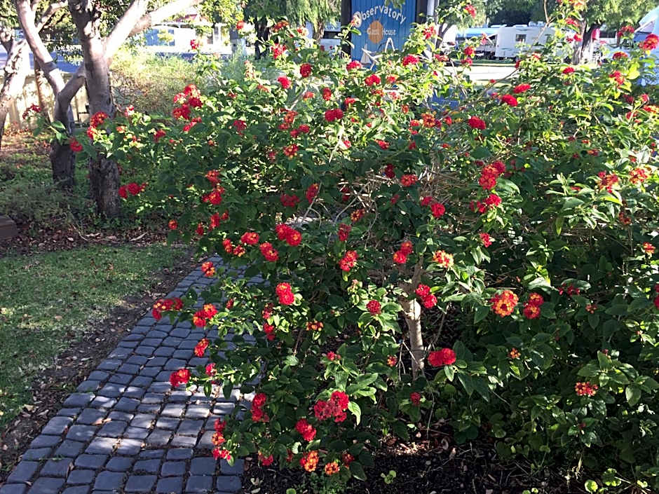 Observatory Guesthouse - Adults Only