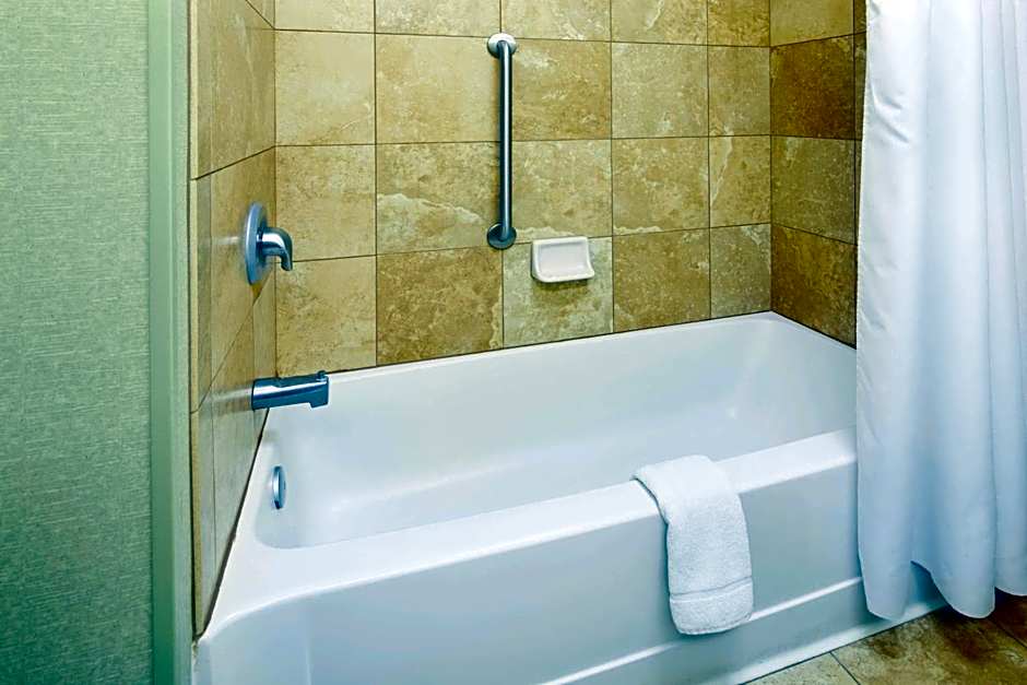 Hampton Inn By Hilton And Suites Savannah Midtown