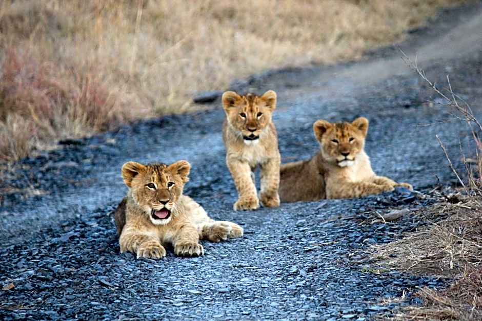 Umzolozolo Private Safari Lodge & Spa