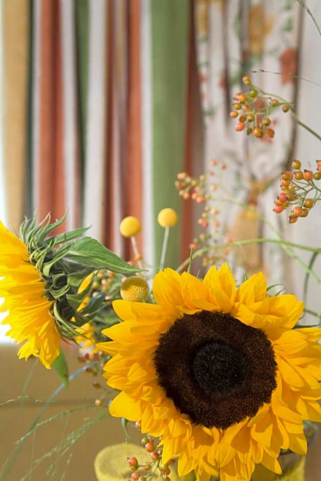 Superior Hotel Persal