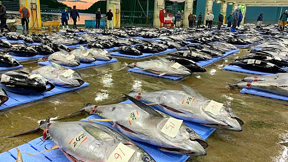 Kyukamura Nanki-Katsuura