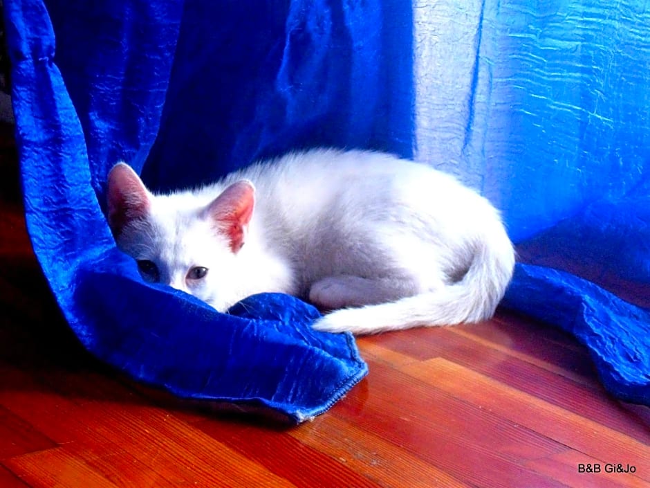 B&B da Gi&Jo