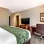 Comfort Inn & Suites Schenectady - Scotia