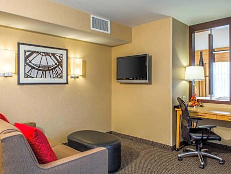Studio Suite, 1 King, Trundle bed