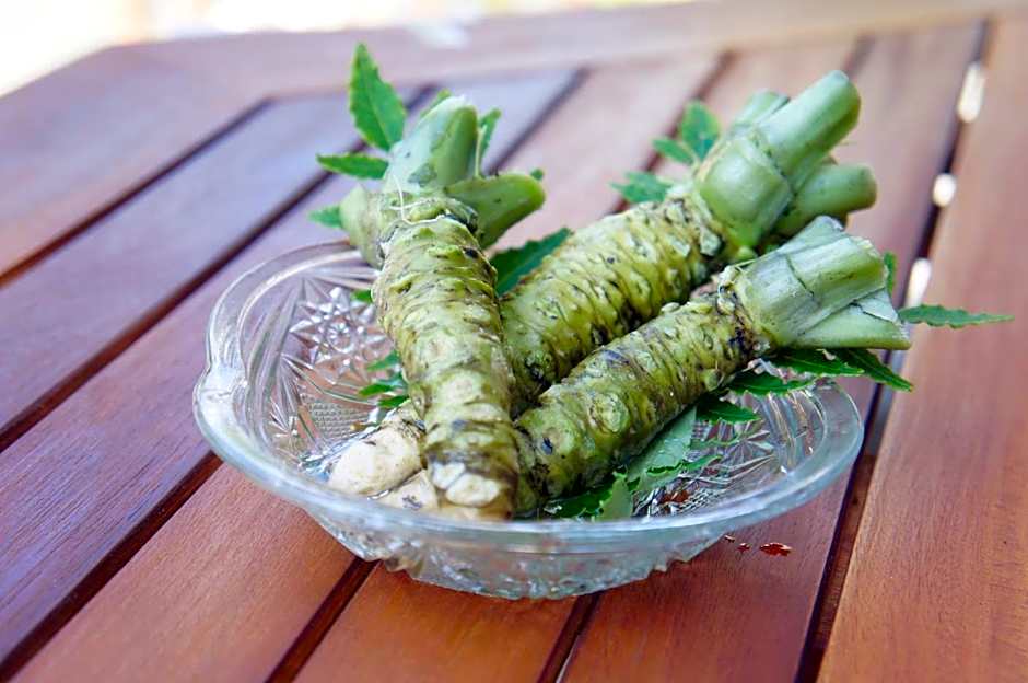 Inn Unkai no Sato no Yado 民宿 雲海の里の宿