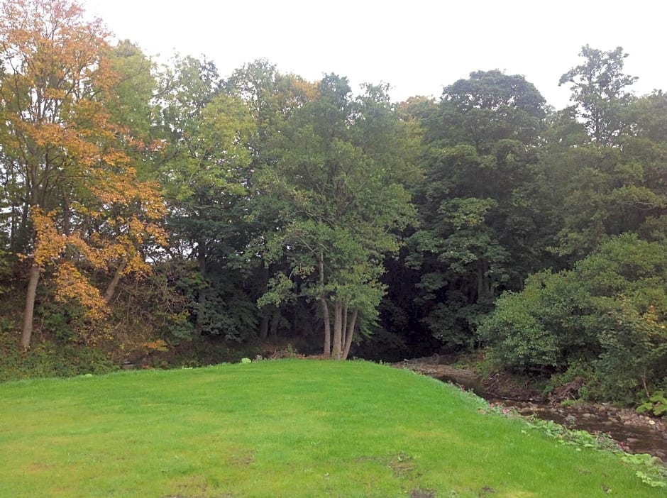 Grandeagles Extra large lodge