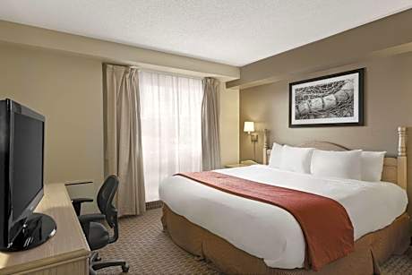 King Room - Non-Smoking