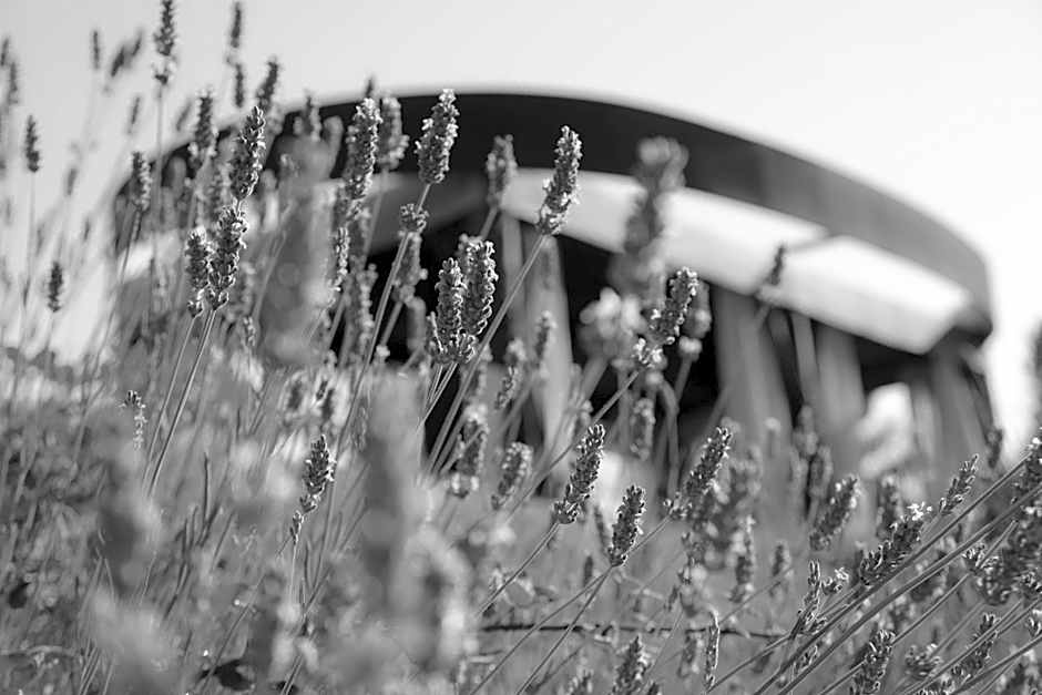 Boutique Hotel Valsabbion