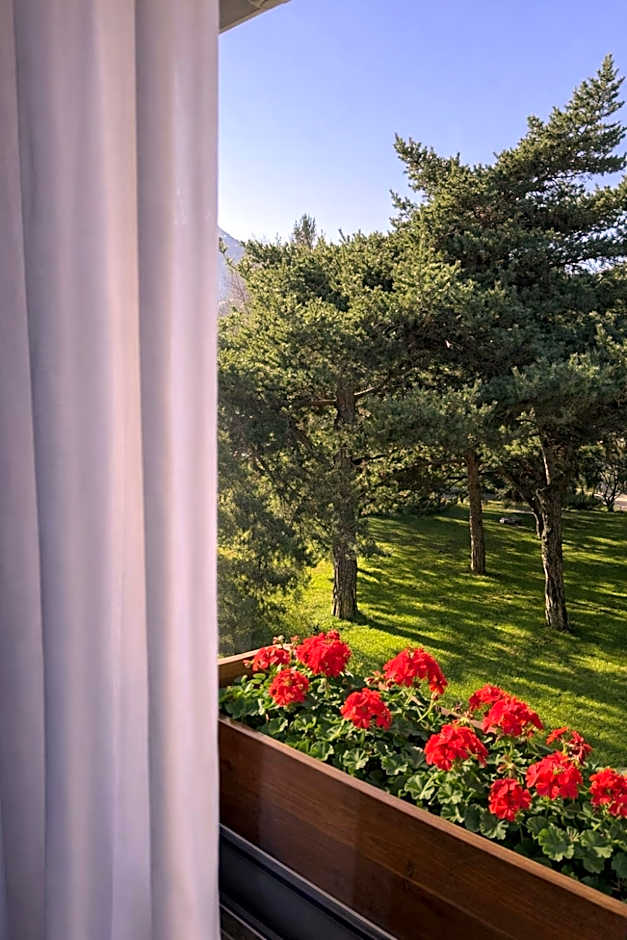 Logis Hotel Le Lac