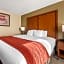 Comfort Inn & Suites Triadelphia