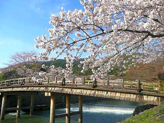 15 mins walk to Kyoto Station/5 mins to metro station B46-5